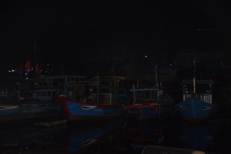 Đánh cá cùng ngư dân