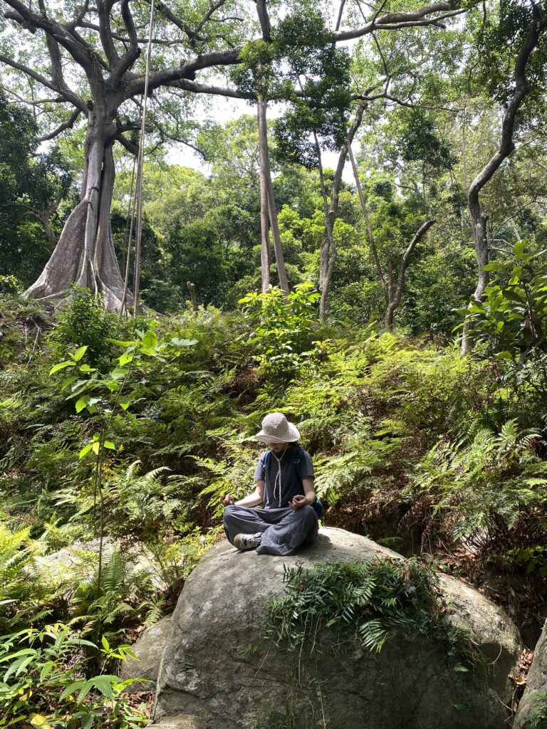 Trekking bán đảo Sơn Trà cây đa ngàn năm