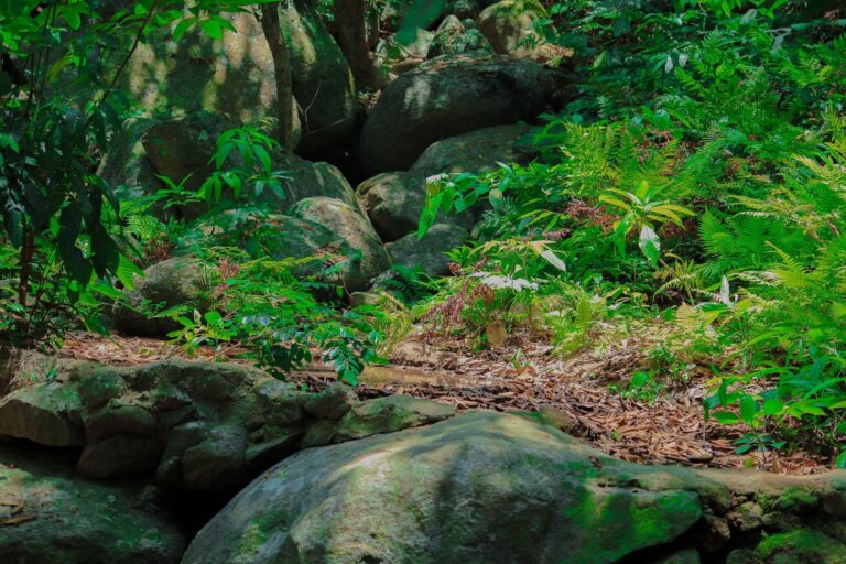 Trekking bán đảo Sơn Trà