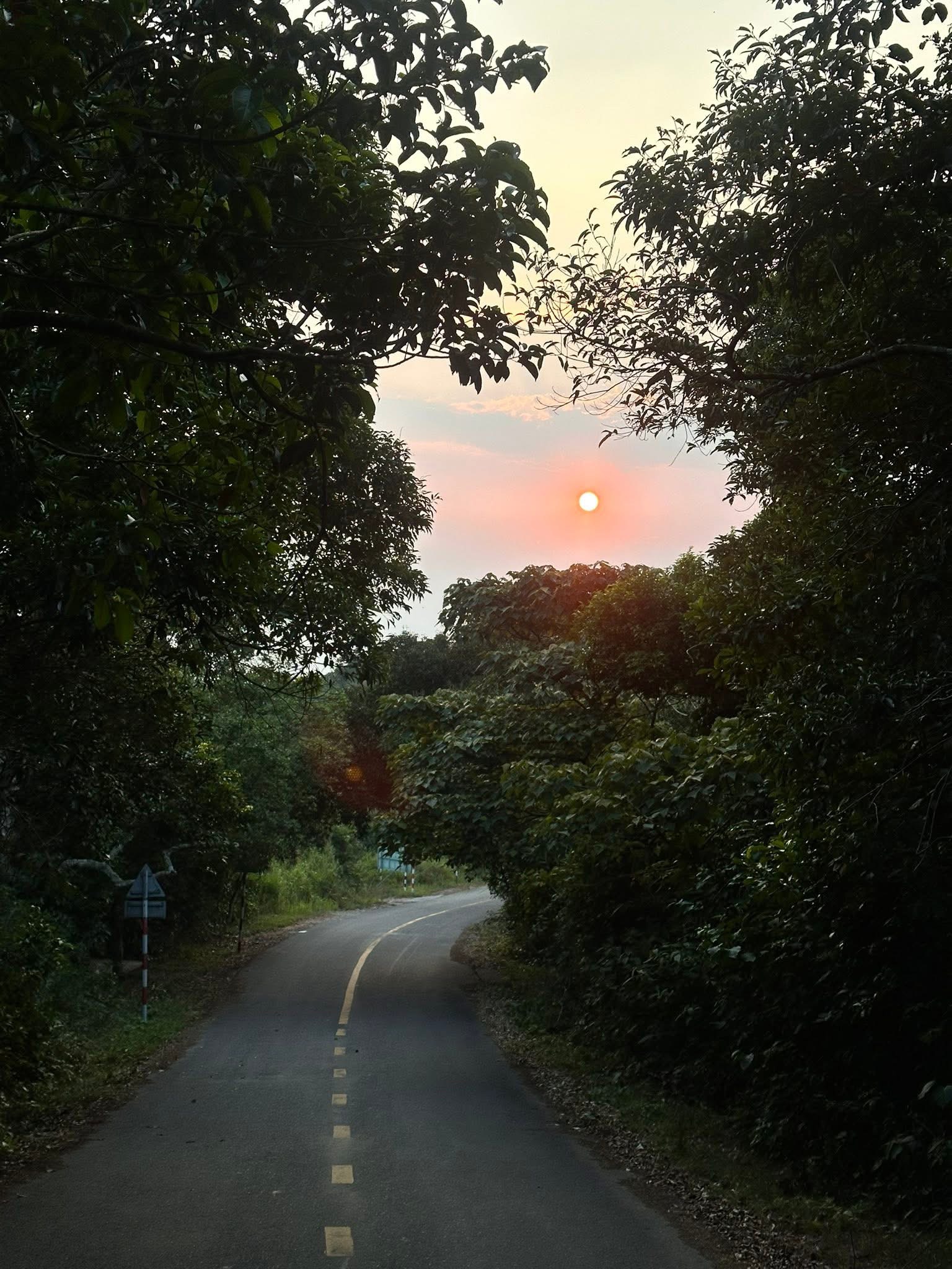 Ảnh 2