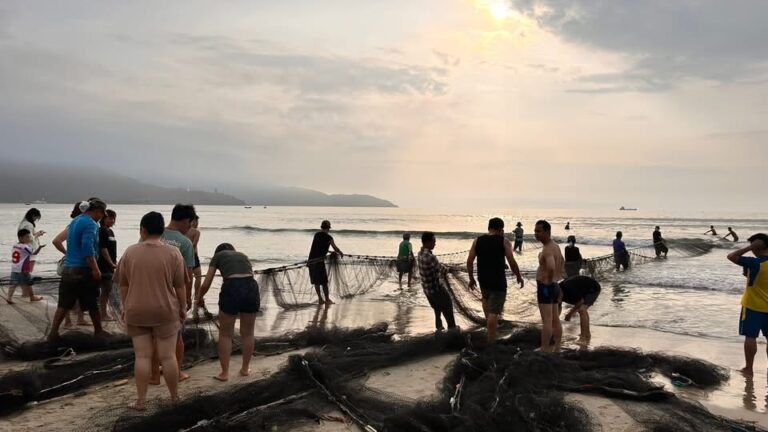 Kéo lưới buổi sáng