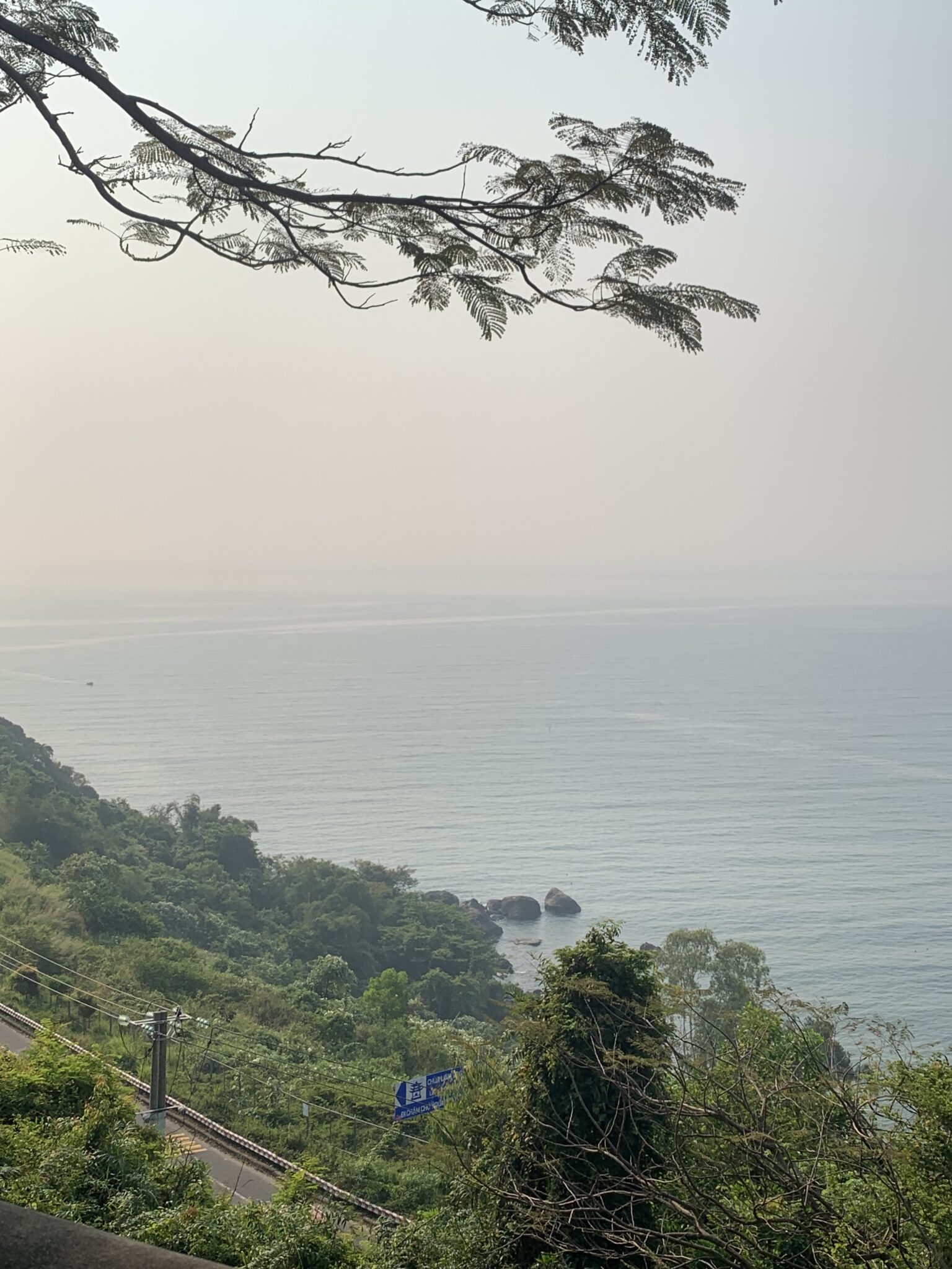 Bảng màu "Xanh Đà Nẵng"
