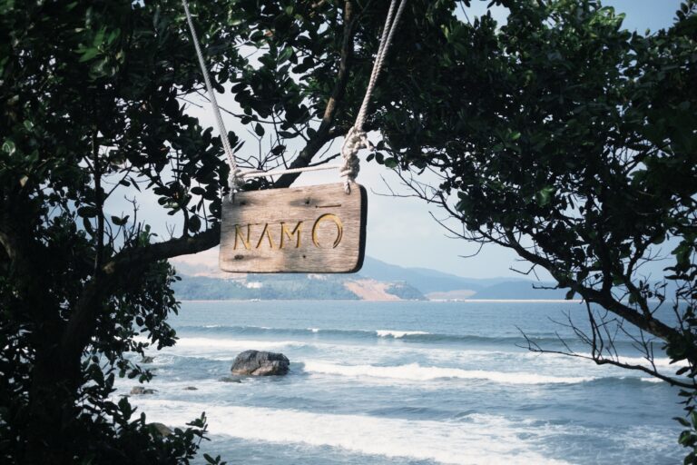 Ngắm rêu tại Bãi đá rêu Nam Ô
