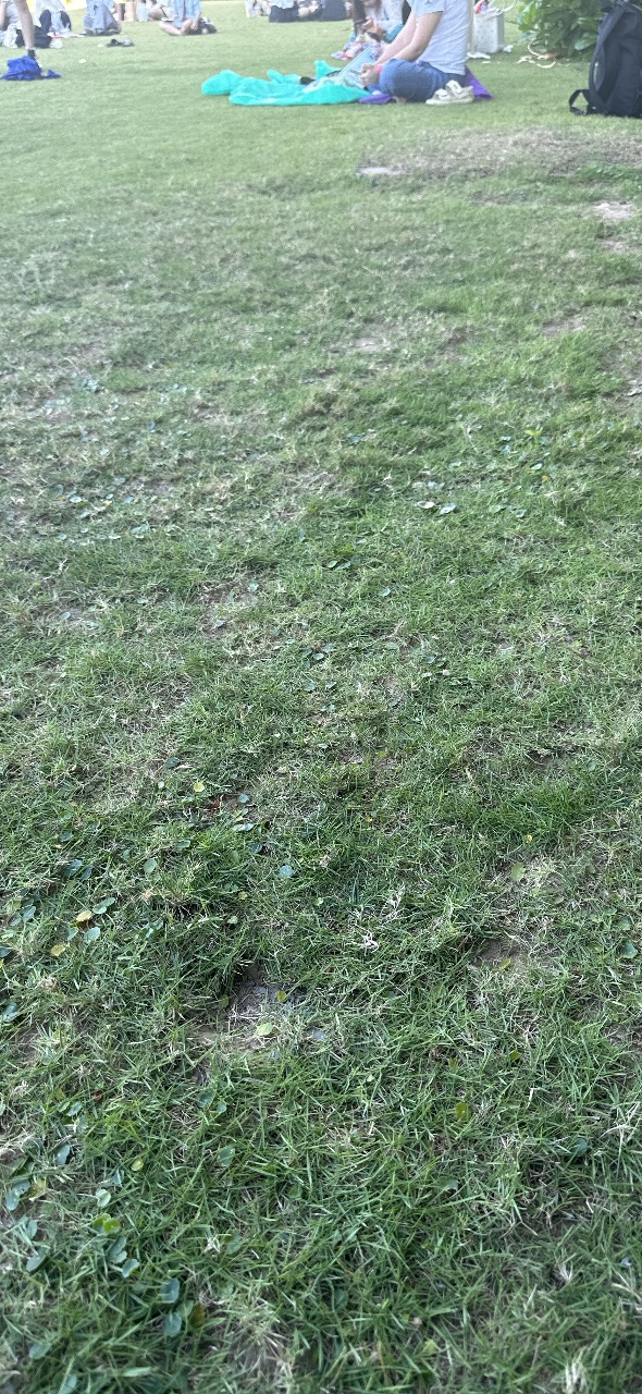 Ảnh 3