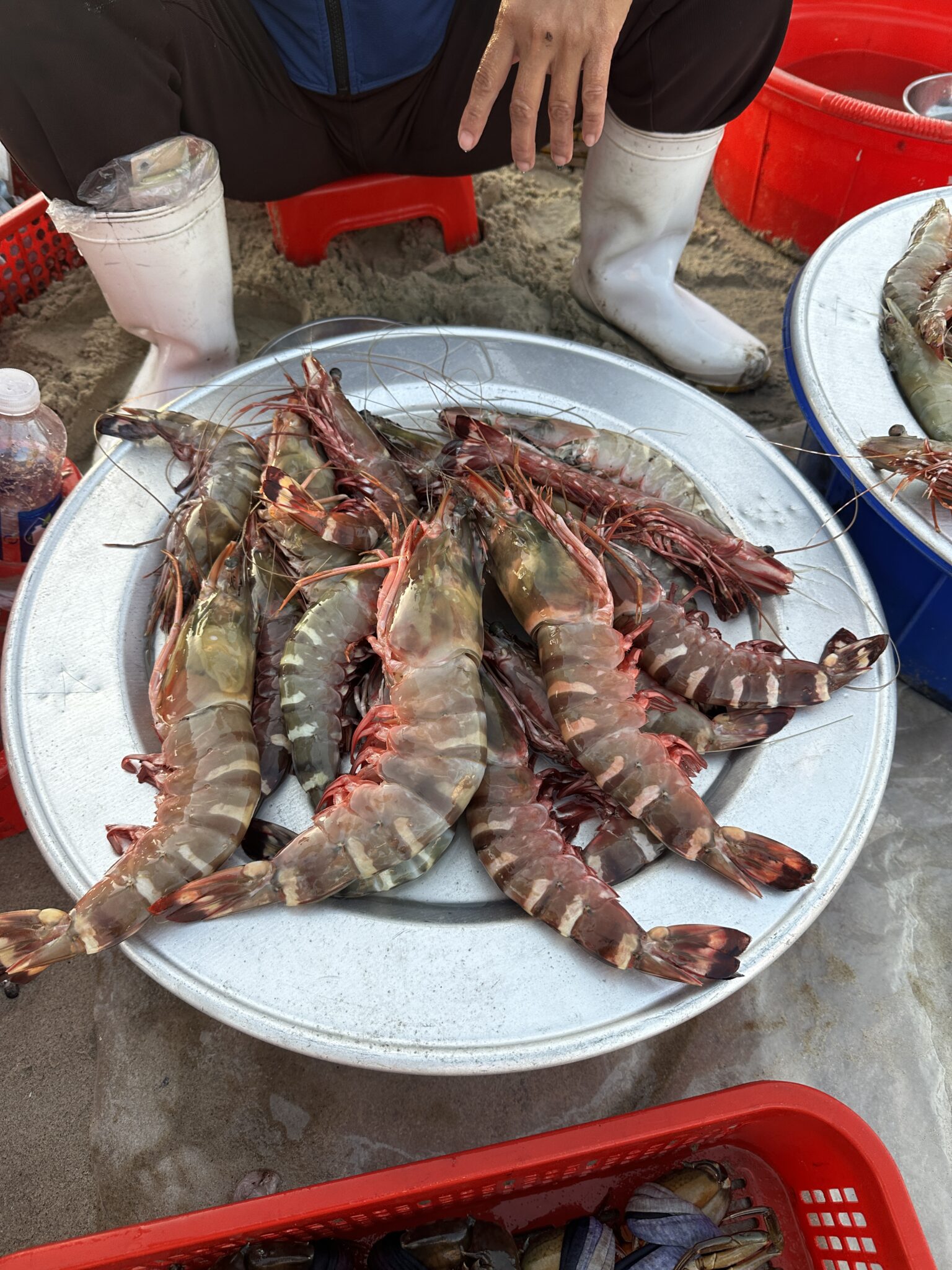 Ảnh 3