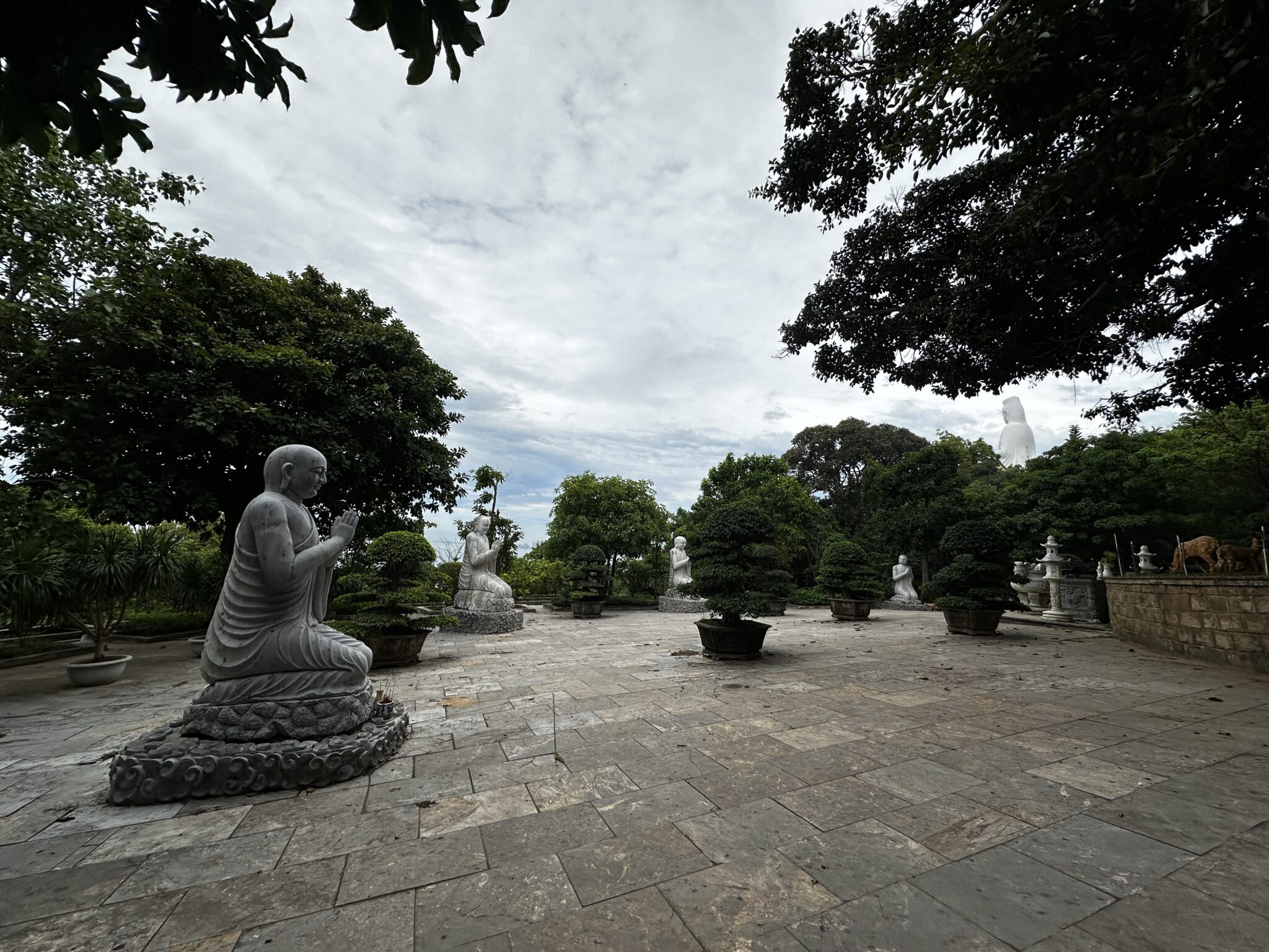 Ảnh 2