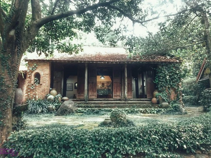 Về với thiên nhiên