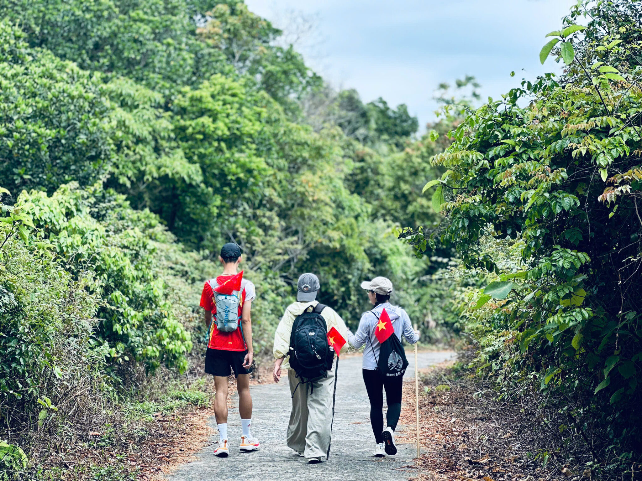 Trekking Thất Đại Cổ Thụ - Sơn Trà ngắm voọc chà vá chân nâu