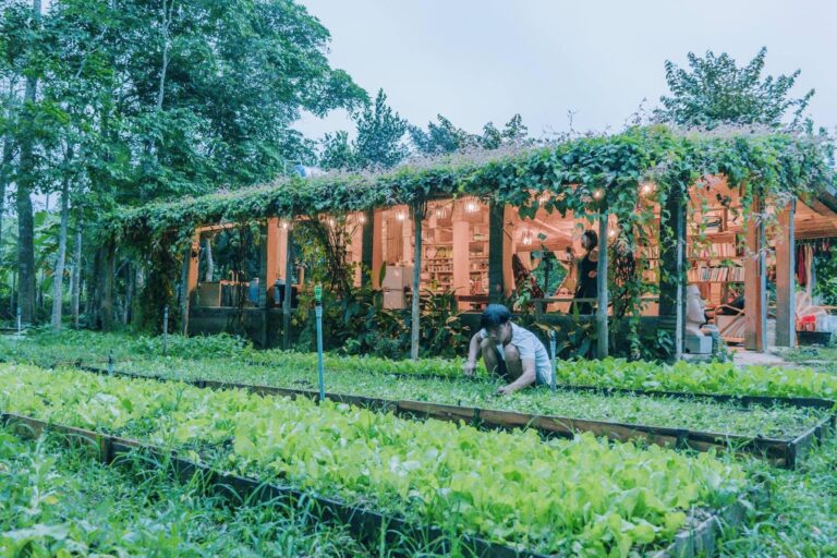 Trải nghiệm farmstay