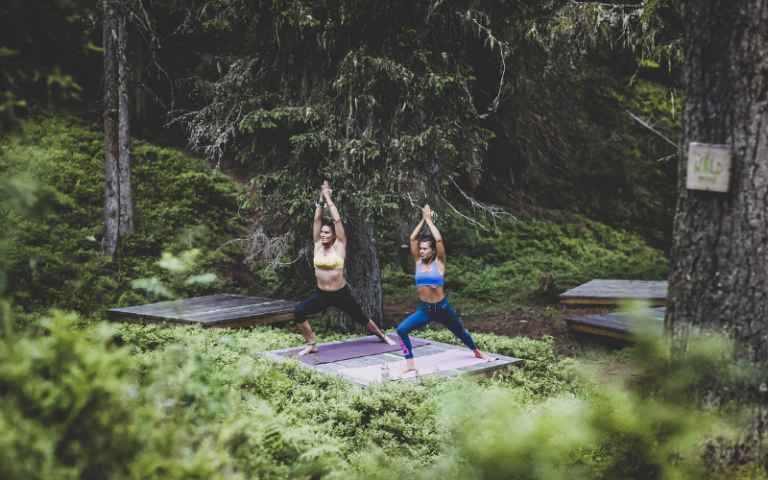 Tắm rừng (forest bathing)