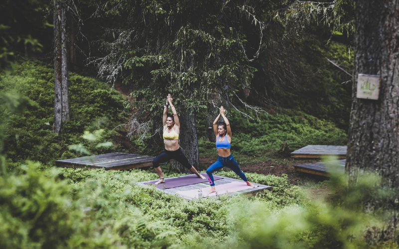 Tắm rừng (forest bathing)