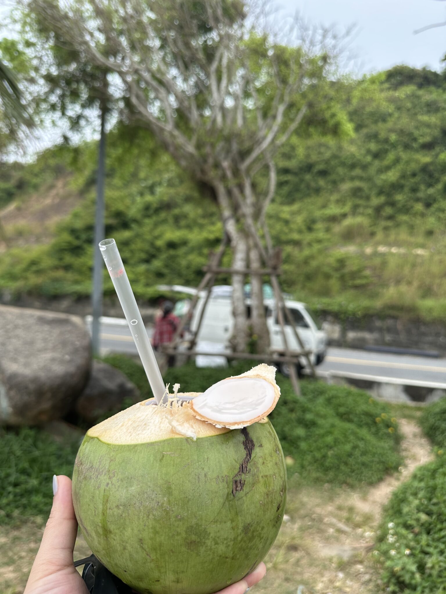 Ảnh 2