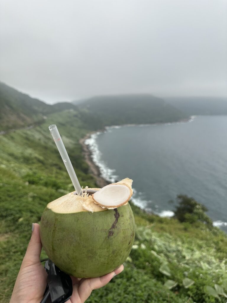 Bán đảo Sơn Trà