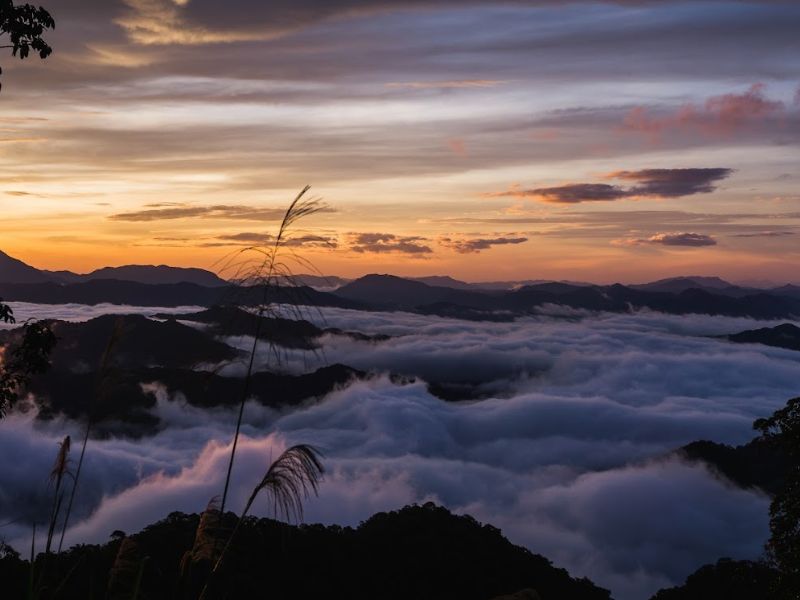 Đón bình minh giữa rừng pơ mu Tây Giang