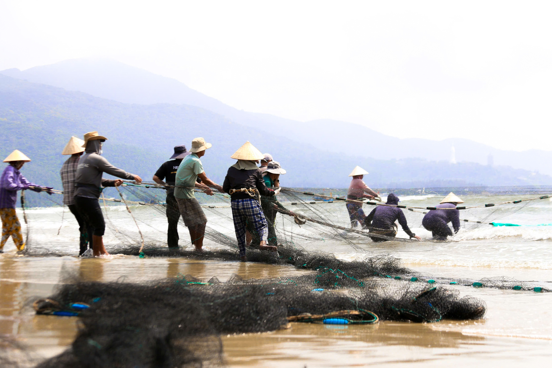 Gỡ lưới và phân loại cá