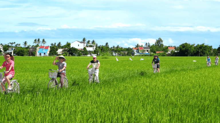 Đạp xe khám phá vùng quê ở Hội An