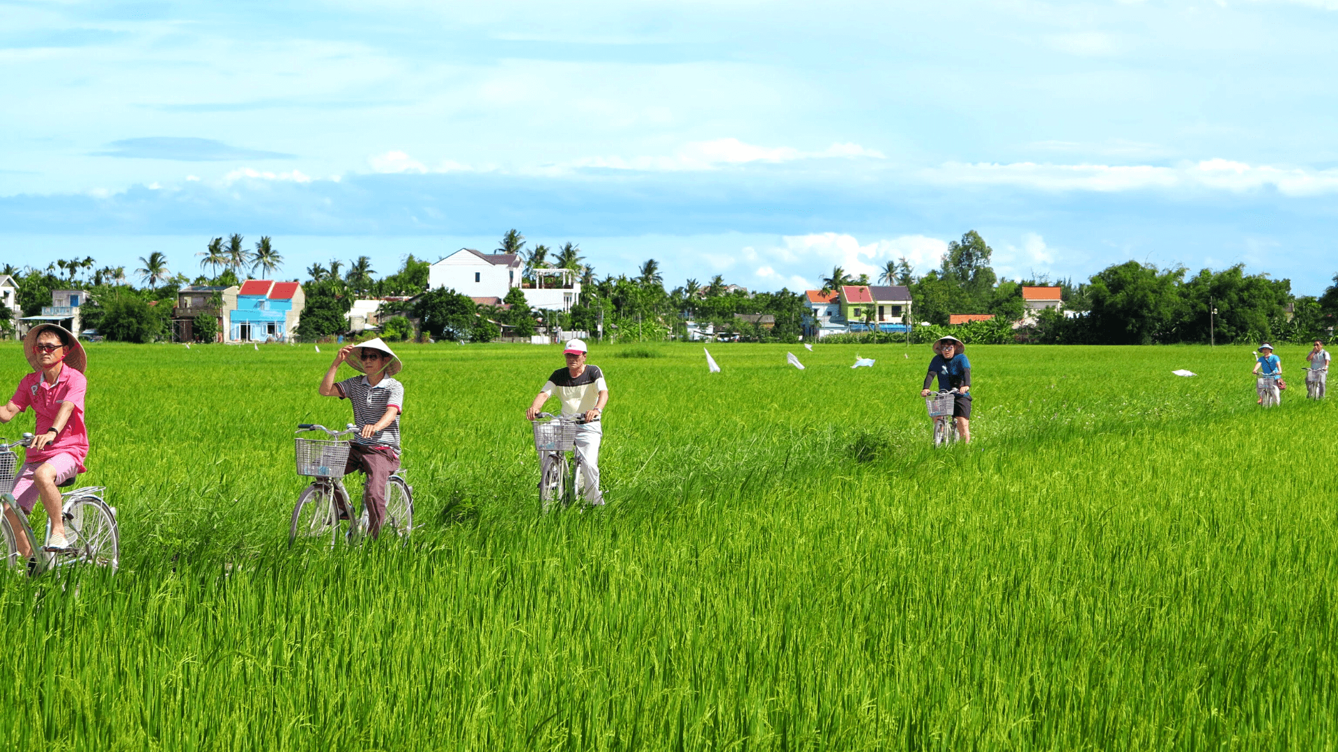 Đạp xe khám phá vùng quê ở Hội An