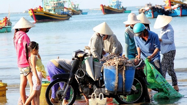 Đi chợ cá sáng sớm