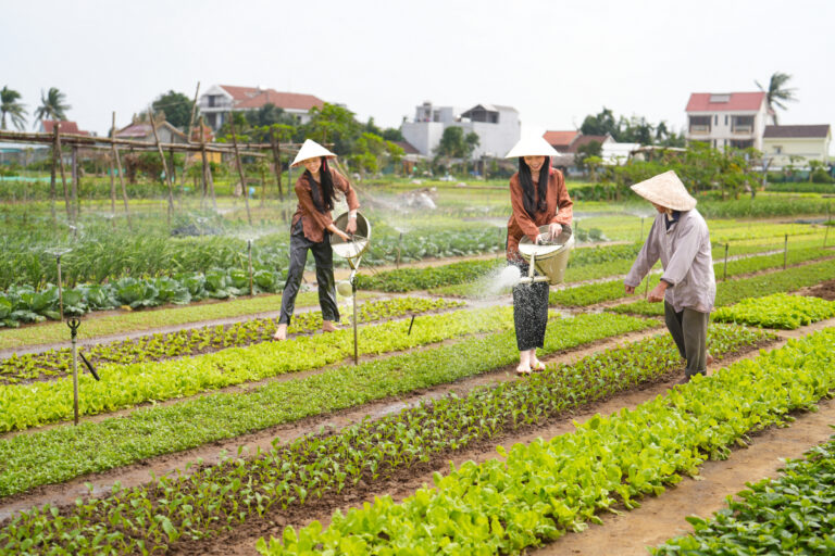 Một ngày làm nông dân tại Trà Quế