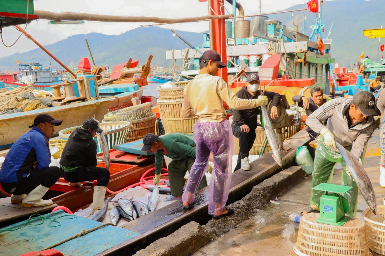 Theo ngư dân ra khơi
