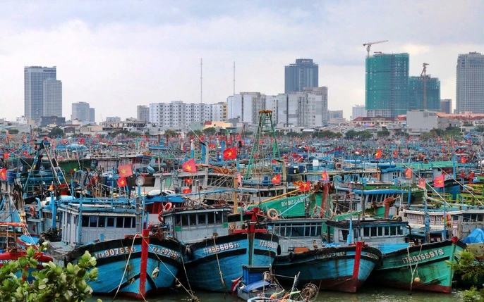 Xem tàu cập bến Thọ Quang