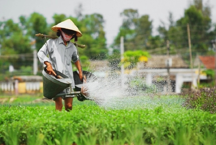 Một ngày làm nông dân tại Trà Quế