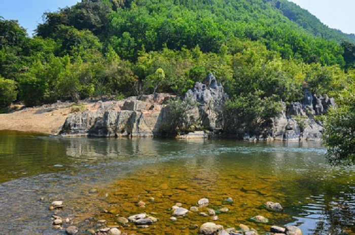 Ảnh 2