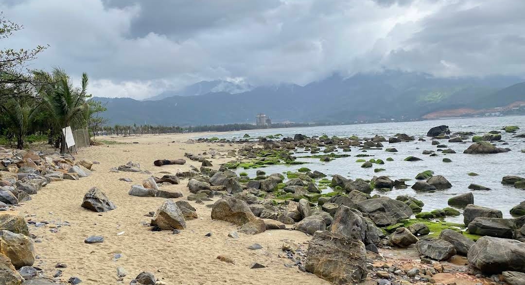 Bắt ốc sáng tại Đà Nẵng