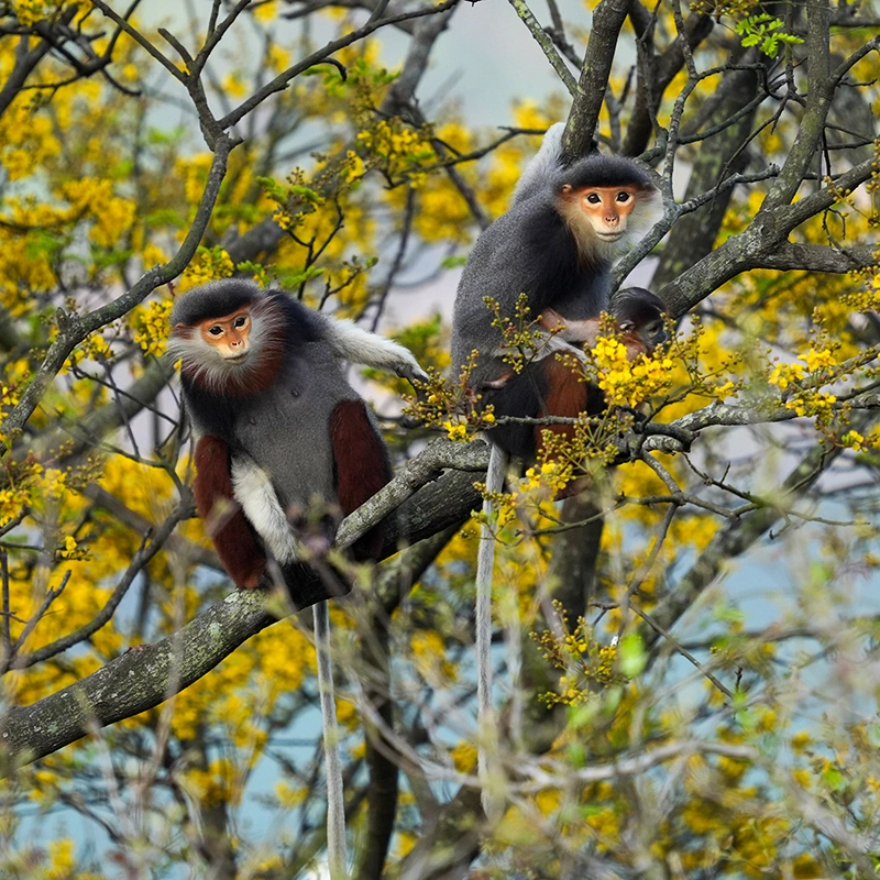 Điểm chạm nguyên sơ